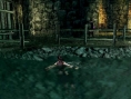 Des images pour Tenchu FS
