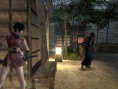 Tenchu FS : Une flopée d'images