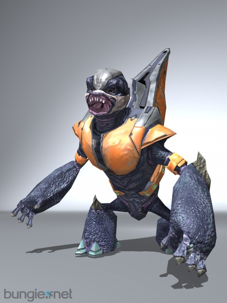 Halo 2 continue de nous éblouir