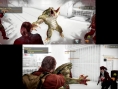 Quelques images pour RE Revelations 1+2