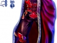 Hokuto ga Gotoku présente ses persos