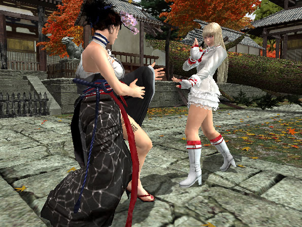 Tekken 5 : Dark Resurrection imagé