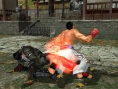 Tekken 5 : Dark Resurrection imagé