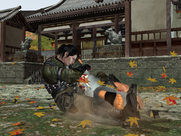 Tekken 5 : Dark Resurrection imagé