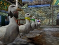 Encore des images pour Shenmue I & II
