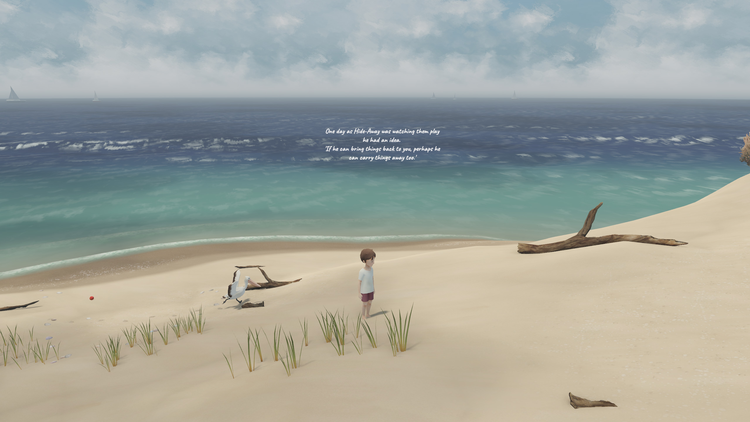 Une adaptation pour le conte Storm Boy
