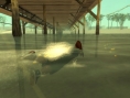 GTA San Andreas tombe à l'eau