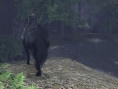 Shadow of the Colossus en images