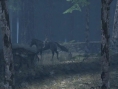 Shadow of the Colossus en images