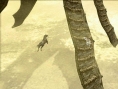 Shadow of the Colossus : 10 images