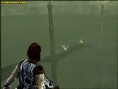 Shadow of Colossus