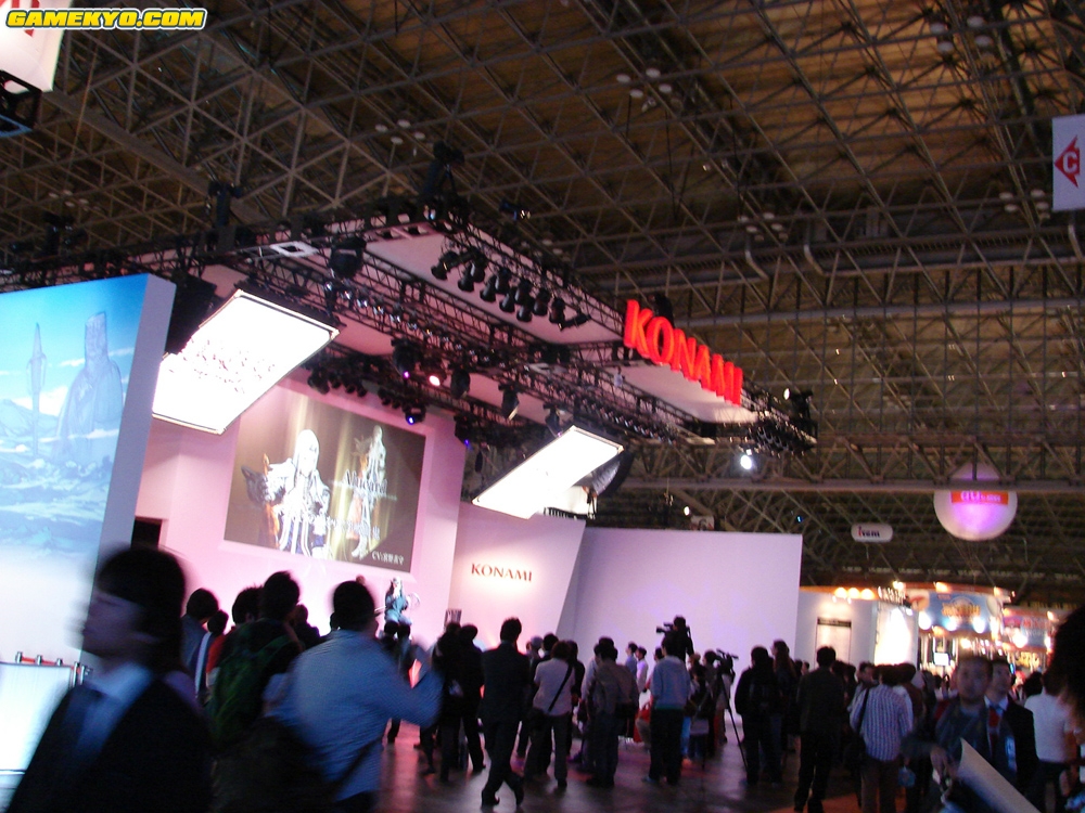 Tokyo Game Show 2008: booths photos