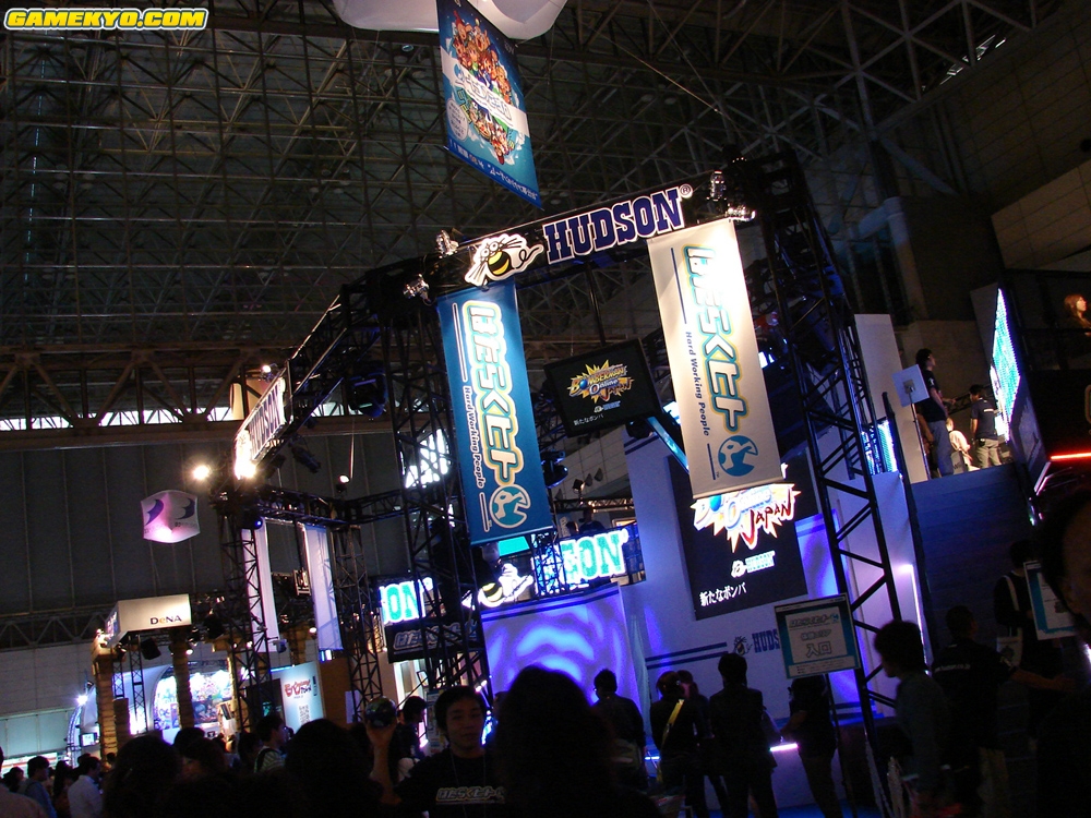 Tokyo Game Show 2008: booths photos