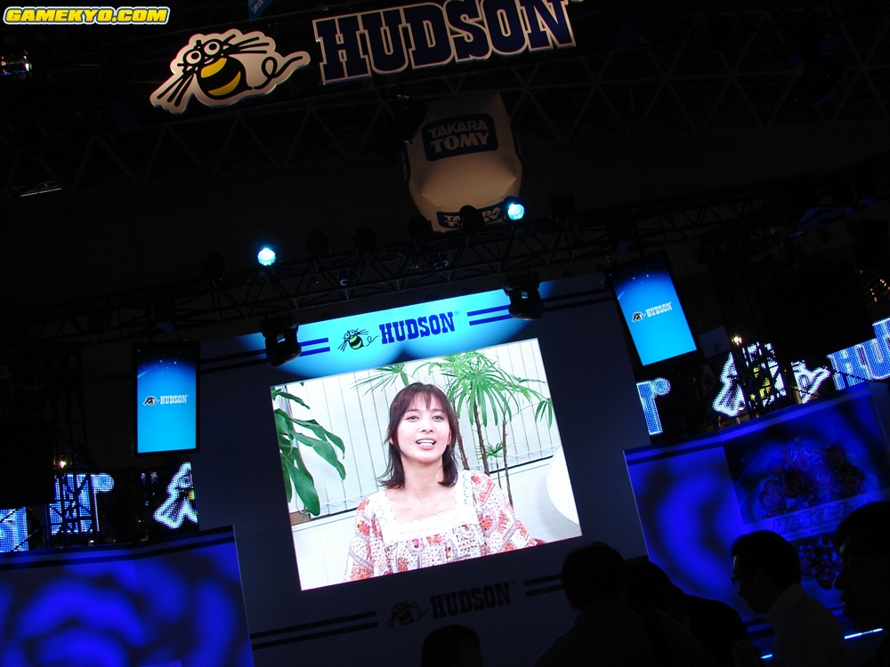 Tokyo Game Show 2008: booths photos