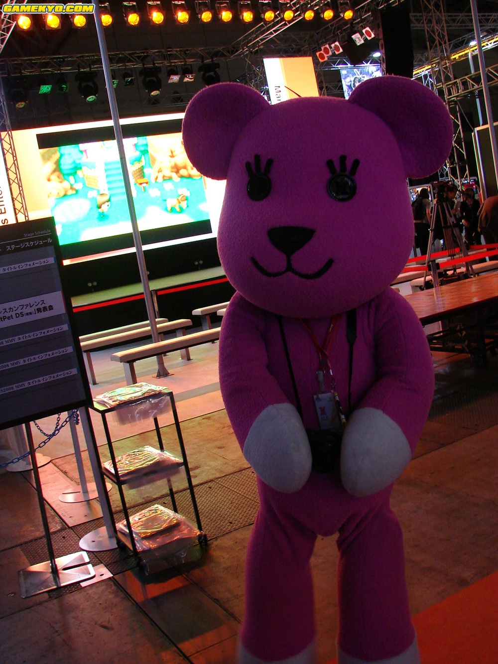 Tokyo Game Show 2008: booths photos