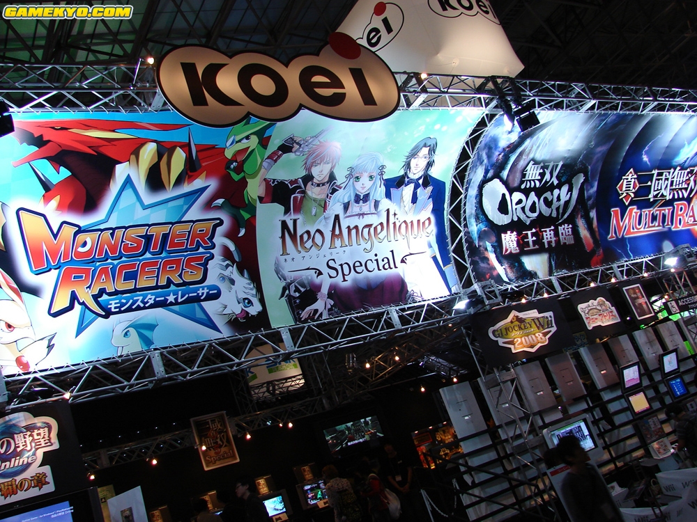 Tokyo Game Show 2008: booths photos