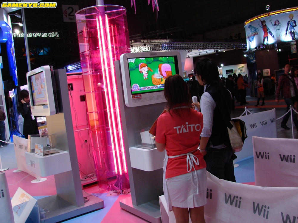 Tokyo Game Show 2008: booths photos