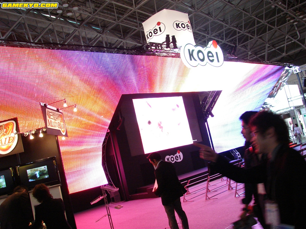 Tokyo Game Show 2008: booths photos
