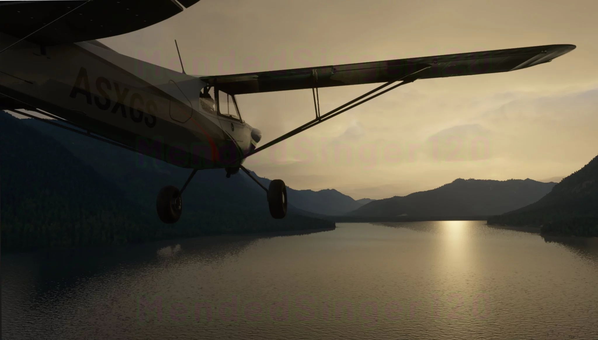 Microsoft Flight Simulator : de nouveaux visuels