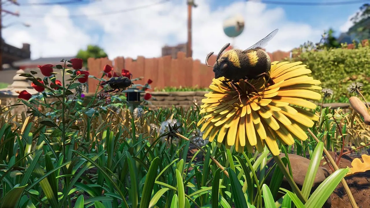 Grounded : les insectes volants en approche