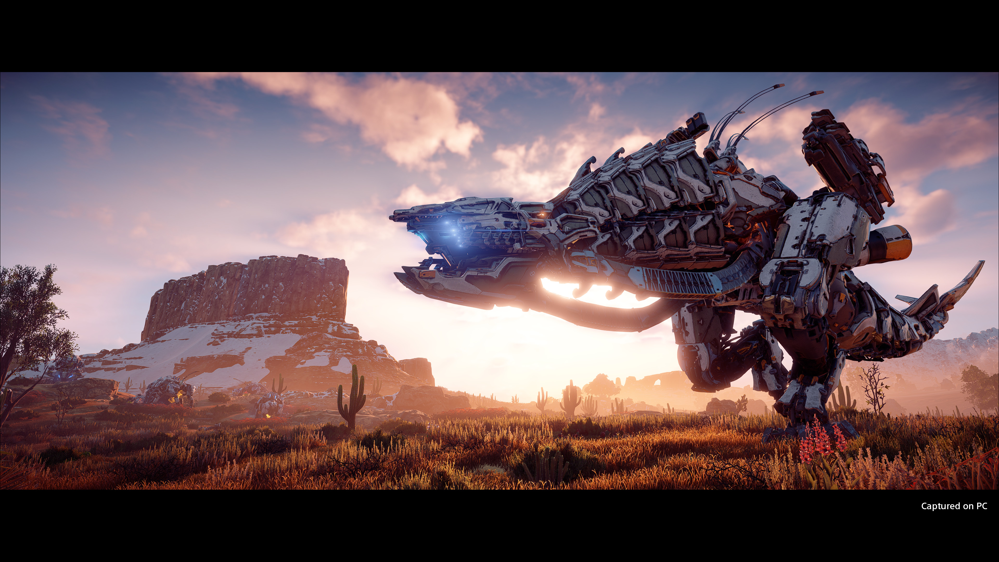 Horizon Zero Dawn : trailer et date PC