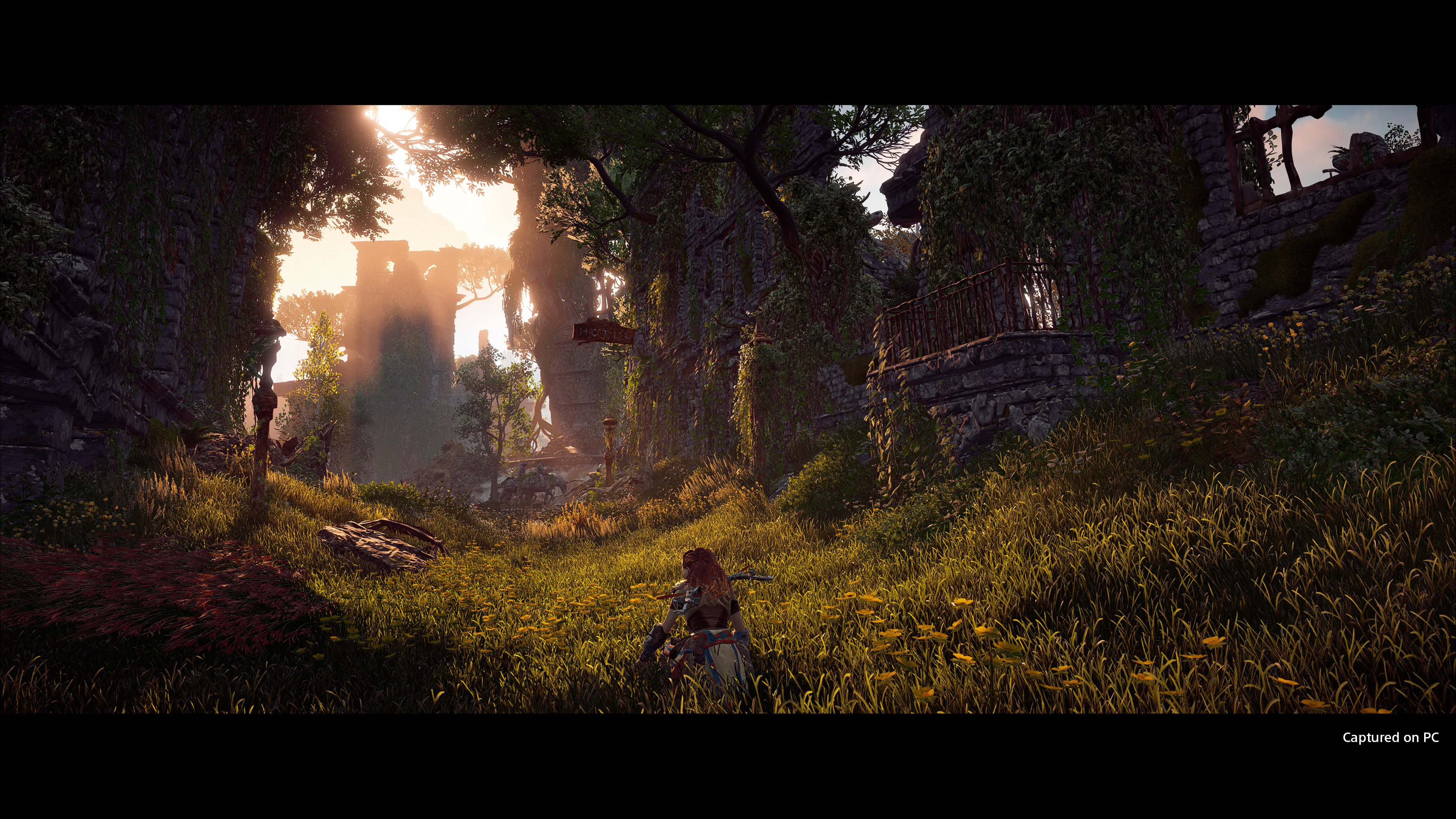 Horizon Zero Dawn : trailer et date PC