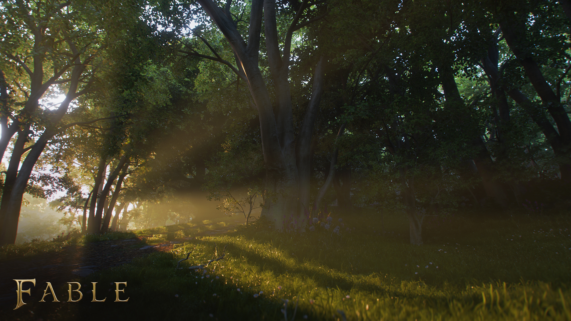 Fable : présentation, nouvelles informations et période de lancement