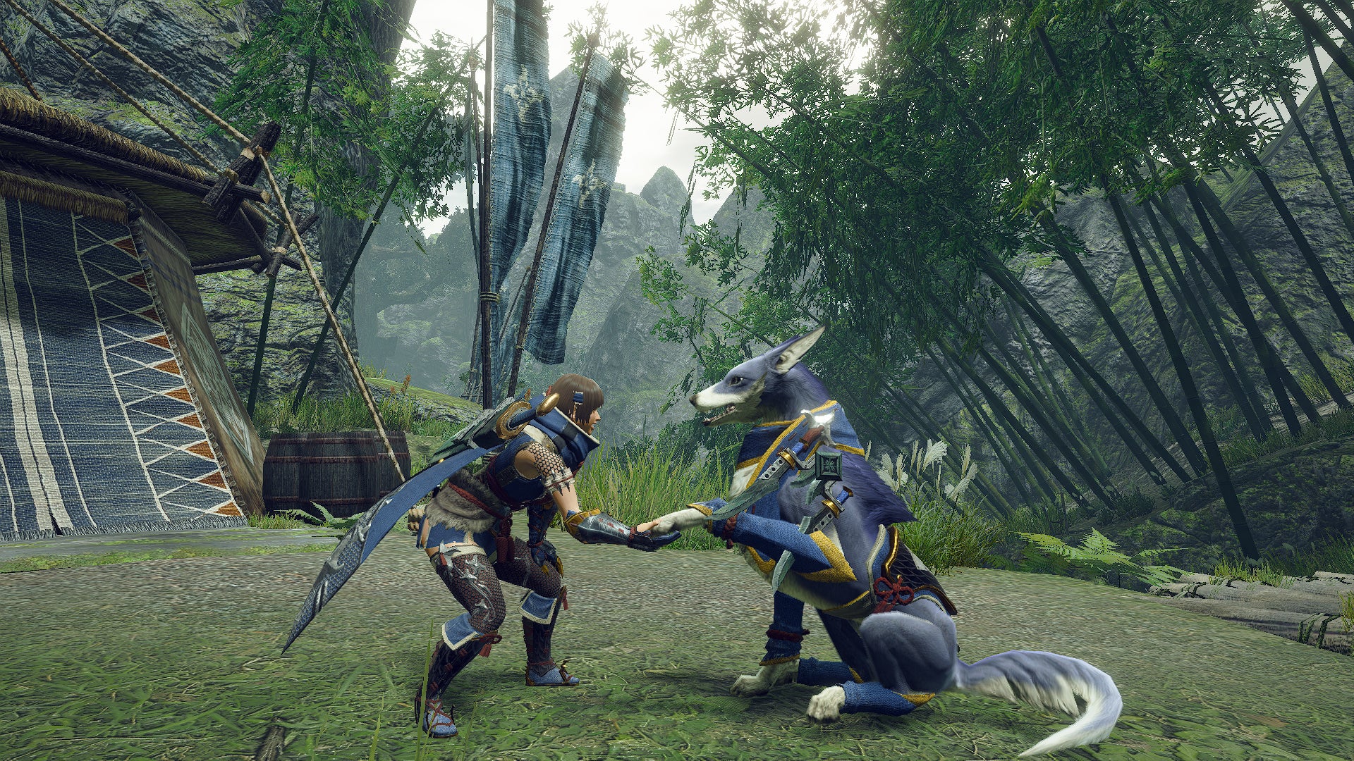 Monster Hunter Rise : le plein d'informations