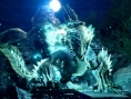 Monster Hunter Rise : nouveau trailer, MAJ de la démo et du contenu gratuit à venir