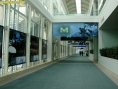 E3 2009 : premières photos et vidéo