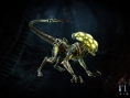 Aliens Fireteam : quelques exemples de Xenomorph