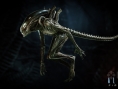 Aliens Fireteam : quelques exemples de Xenomorph