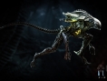 Aliens Fireteam : quelques exemples de Xenomorph