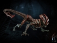 Aliens Fireteam : quelques exemples de Xenomorph