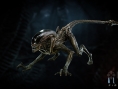 Aliens Fireteam : quelques exemples de Xenomorph