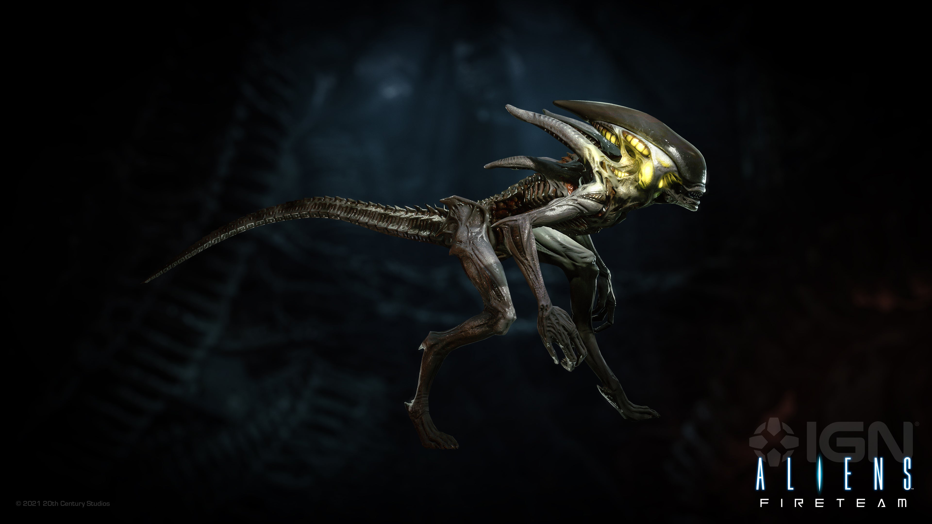 Aliens Fireteam : quelques exemples de Xenomorph