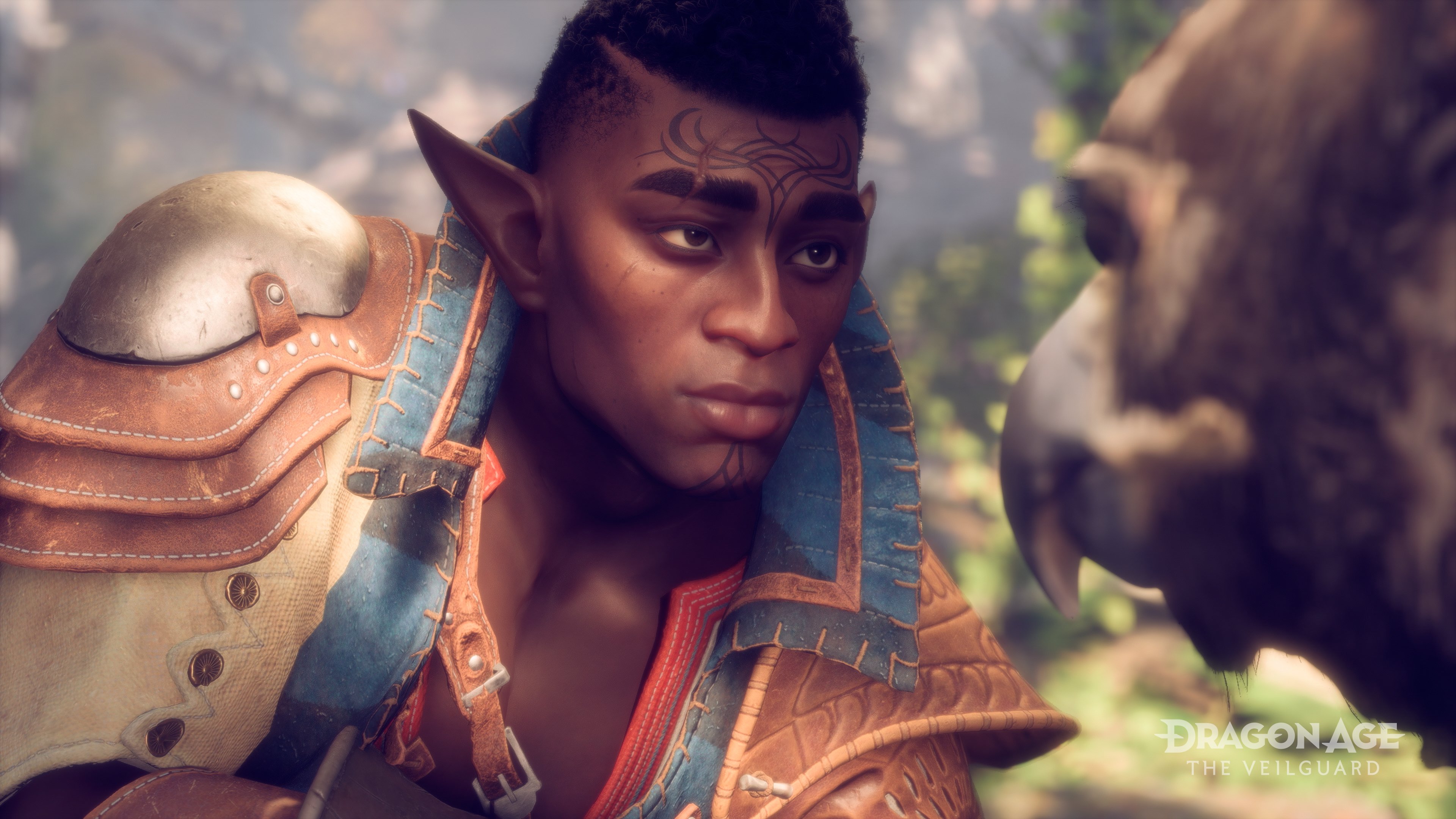 Dragon Age : The Veilguard illustre les compagnons
