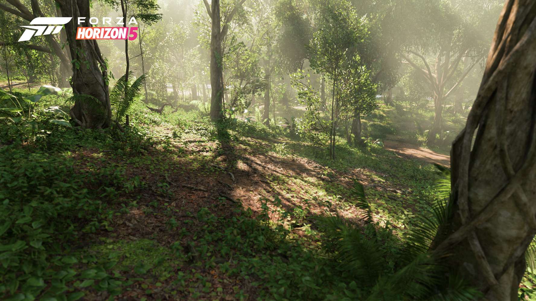 Forza Horizon 5 dévoile ses décors