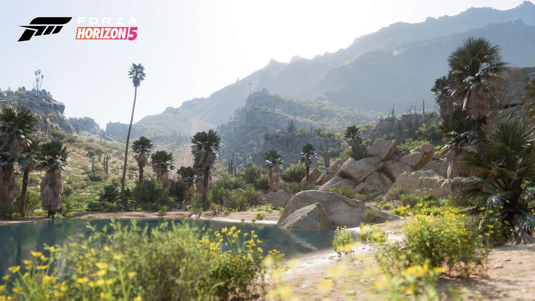 Forza Horizon 5 dévoile ses décors