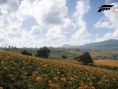 Forza Horizon 5 dévoile ses décors