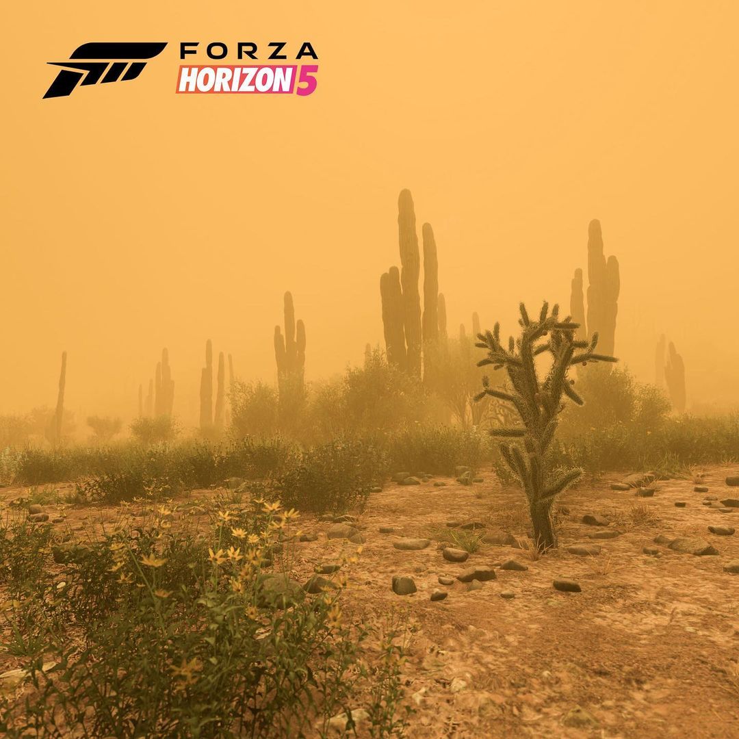 Forza Horizon 5 dévoile ses décors