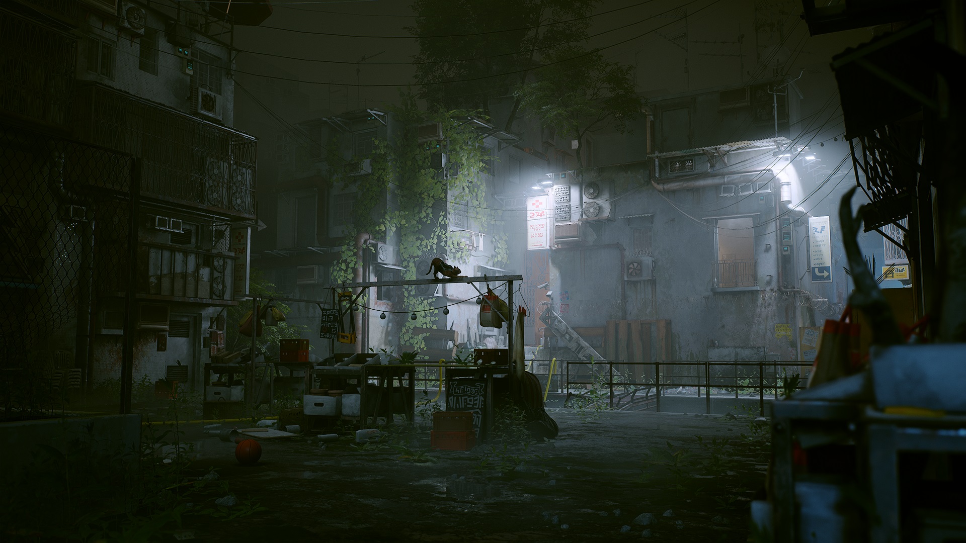 Stray : un trailer, et un report en 2022