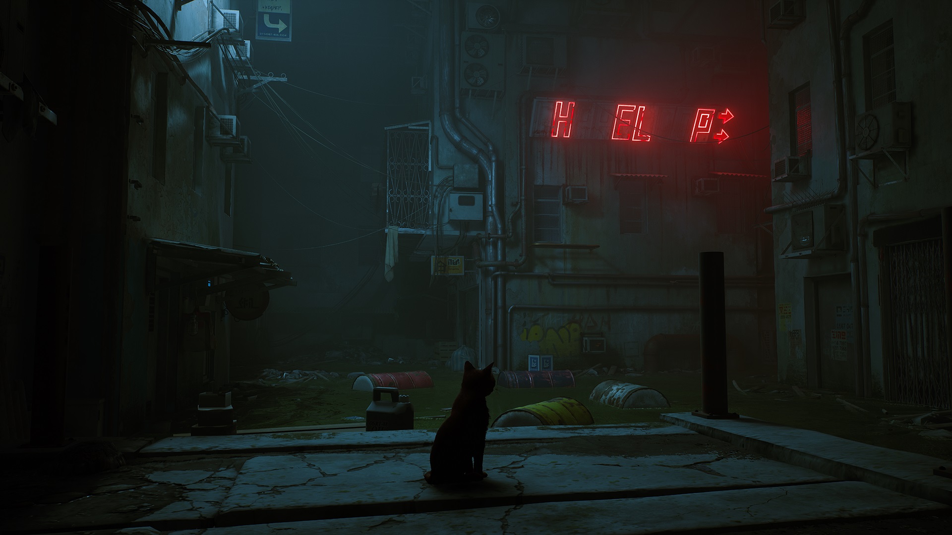 Stray : un trailer, et un report en 2022