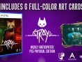 Stray : une date pour la version boîte