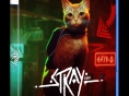 Stray : une date pour la version boîte