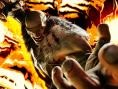 Street Fighter 6 : la bande-annonce de Sagat