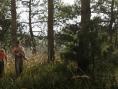Une salve de visuels pour Grand Theft Auto 6