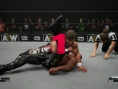 Avec AEW Fight Forever, Yuke's dévoile son avenir sans 2K Games