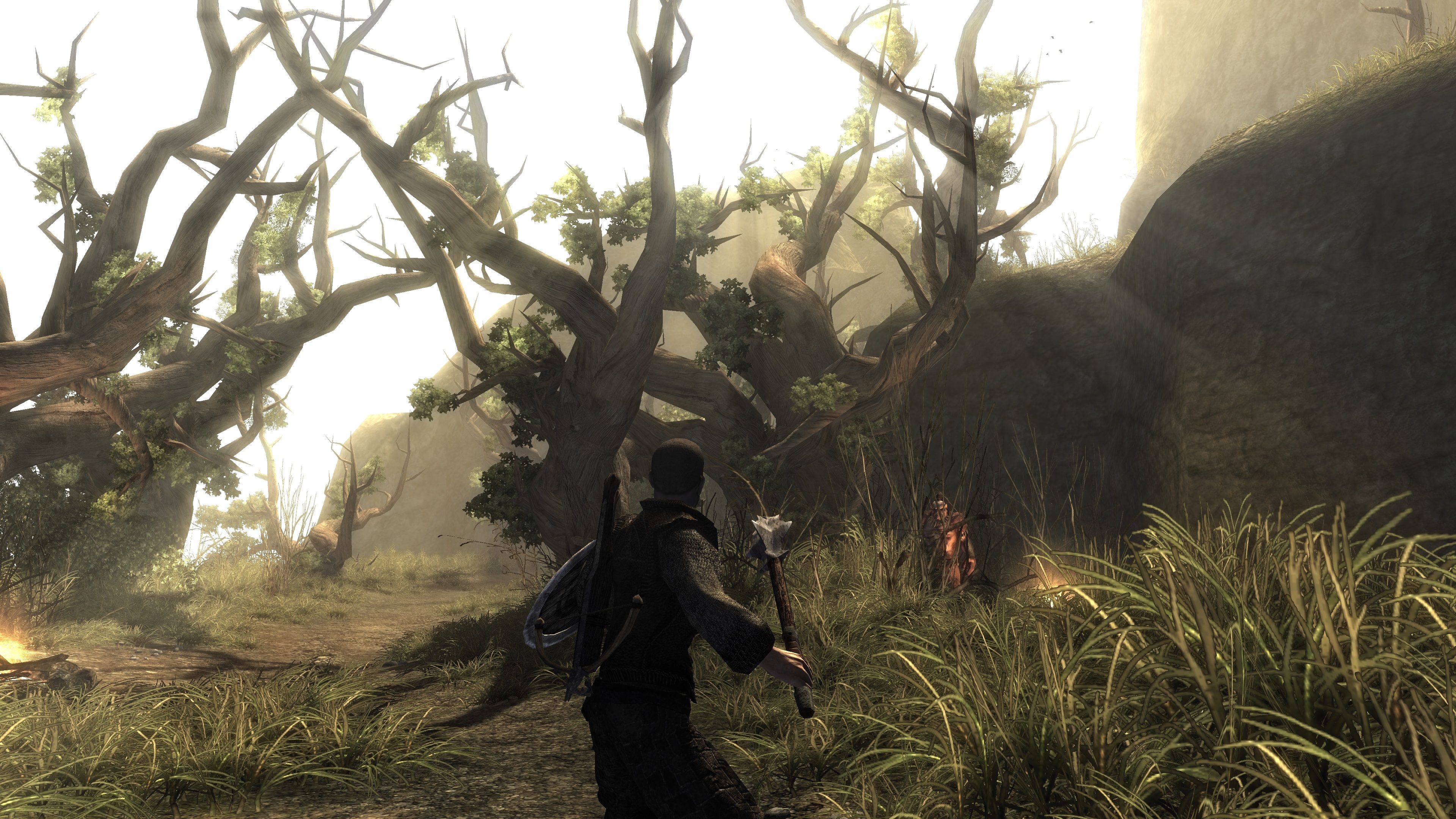 Tiens, un petit remaster pour Risen