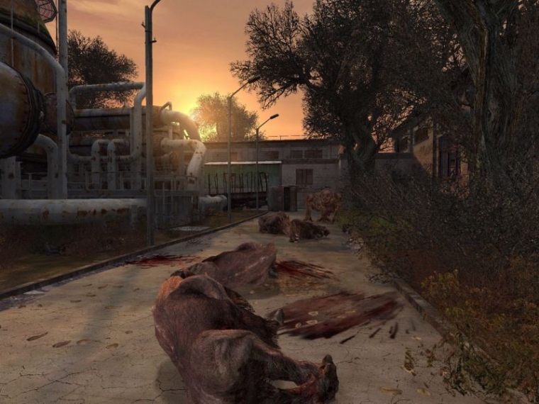 S.T.A.L.K.E.R  revient en images
